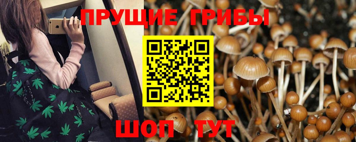 Амфетамин Северск
