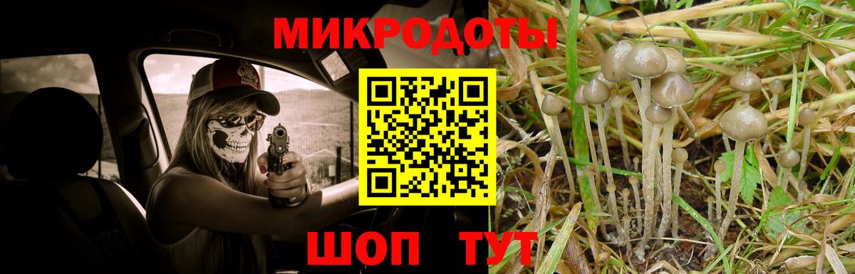Северск  Псилоцибиновые грибы мицелий  Вход с VPN  Псилоцибиновые грибы MAGIC MUSHROOMS 